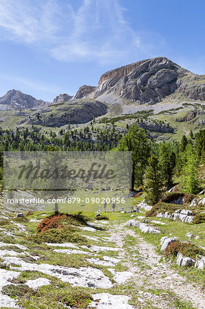 Italy,South Tyrol,Bolzano district,San Vigilio di Marebbe,The characteristics layers of Mount Sass da Bech