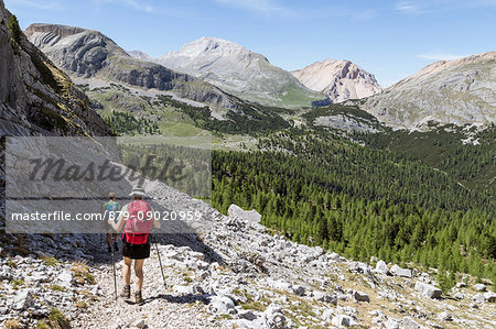 Italy,South Tyrol,Bolzano district,San Vigilio di Marebbe,View of Fanes valley on the return path from the top of Croda del Vallon Bianco