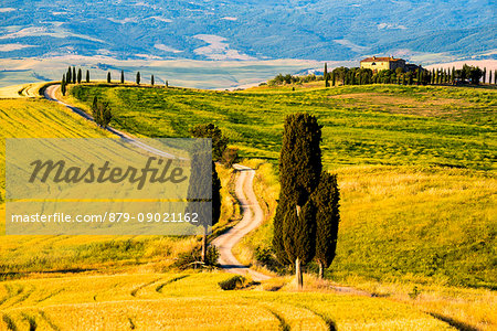 Rolling Hills in Orcia valley, Tuscany district, Siena province, Italy, Europe.