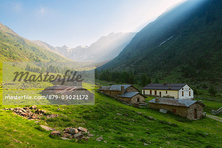 Val Grande, Vezza d'Oglio, Stelvio National park, Brescia province, Italy, Europe.