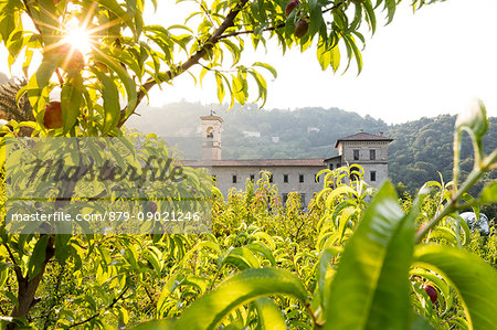 Sunrise on the ancient monastery of Astino surrounded by apple orchards Longuelo, Province of Bergamo, Lombardy, Italy, Europe