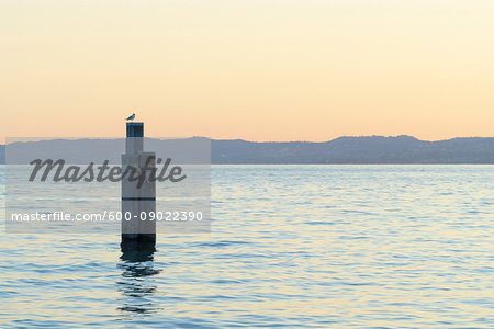 Gull on boat docking post at dusk on Lake Garda (Lago di Garda) in Garda in Veneto, Italy