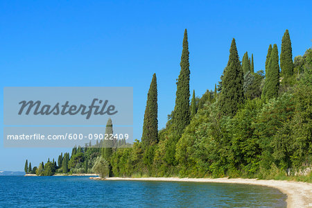 Trees along the lakeshore of Lake Garda (Lago di Garda) in the summer at Garda in Veneto, Italy