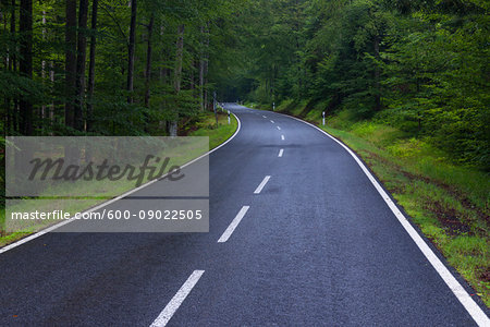 Paved road through forest after rain at Spiegelau in the Bavarian Forest National Park in Bavaria, Germany Paved road through forest after rain at Spiegelau in the Bavarian Forest National Park in Bavaria, Germany