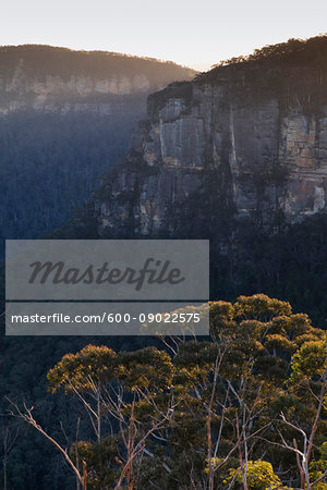 Rock formations of the elevated plateau in the Blue Mountains National Park in New South Wales, Australia