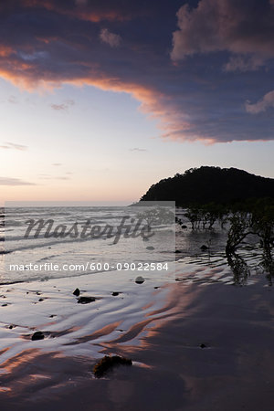 Silhouette of coastal shoreline and beach at Cape Tribulation at sunrise in Daintree National Park, Australia Silhouette of coastal shoreline and beach at Cape Tribulation at sunrise in Daintree National Park, Australia