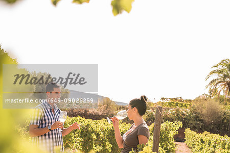 Winemaking tasting white wine in vineyard, Las Palmas, Gran Canaria, Spain