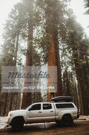 Young man looking out at forest from top of vehicle, Sequoia National Park, California, USA