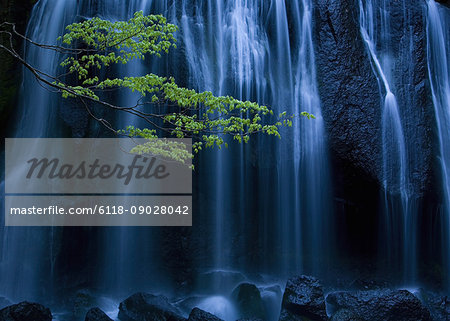 Long exposure of waterfall with branch of Maple tree with green leaves in foreground.