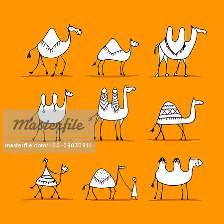 Camel set, sketch for your design. Vector illustration