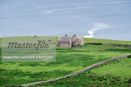 Irish landscape with cottages and horses near Doolin, Munster, Co.Clare, Ireland, Europe.