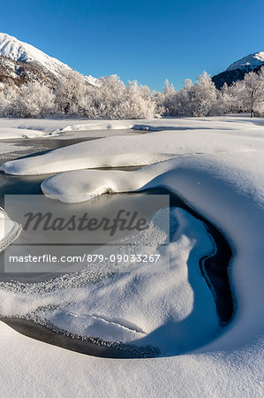 Winter landscape with trees covered in hoarfrost and frozen pond. Celerina, Engadin, Graubunden, Switzerland.