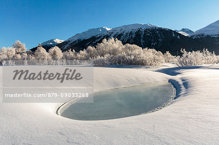 Winter landscape with trees covered in hoarfrost and frozen pond. Celerina, Engadin, Graubunden, Switzerland.