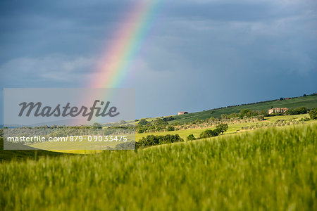 Italy, Tuscany, Siena District, Orcia Valley - rainbow after the storm