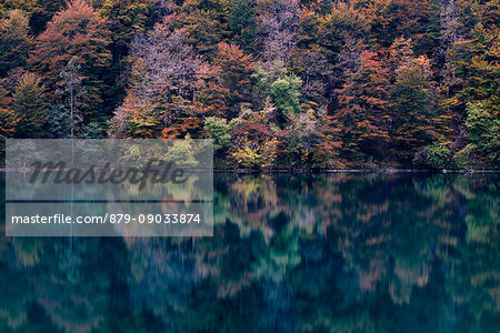 Plitvice national park,Karlovac region, Croatia district, Europe.