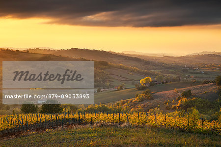 Tortona hills, Alessandria province,Piedmont, Italy, Europe.