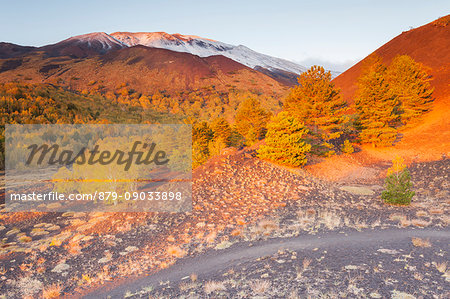 Etna National Park, Catania province, Italy, Europe.