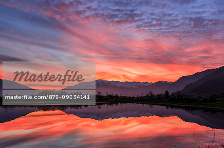 Natural reserve of Pian di Spagna flooded with snowy peaks reflected in the water at sunset Valtellina Lombardy Italy Europe
