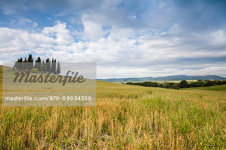 Clouds frame the gentle green hills of Val d'Orcia province of Siena Tuscany Italy Europe Clouds frame the gentle green hills of Val d'Orcia province of Siena Tuscany Italy Europe