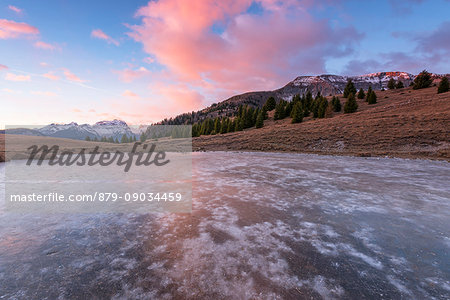 Lake of the Vipers at sunrise Europe, Italy, Trentino Alto Adige, Trento district, Non Valley, Peller mountain, Loverdina mountain