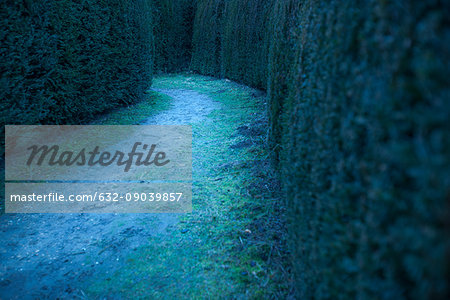 Path in hedge maze