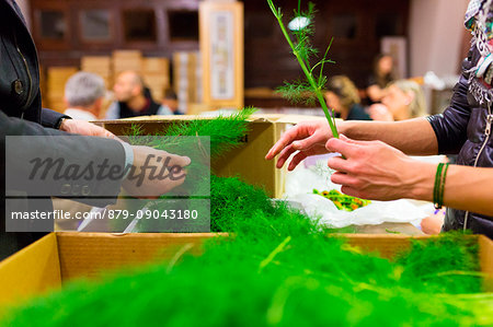 Europe,Italy,Umbria, Perugia district, Spello, backstage Spello flower festival, Corpus Domini