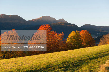 Italy, Trentino Alto Adige, prairies of Non valley in a autumn day, in the background see Luco Mount.