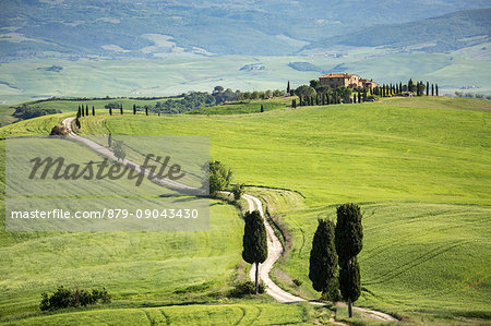 Road with cypresses and a farmhouse. Orcia Valley, Siena district, Tuscany, Italy.