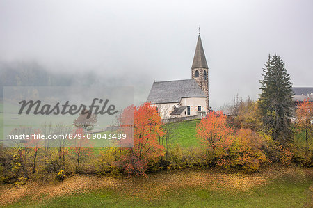 Church surrounded by autumnal trees and mist. Santa Maddalena, Funes, Bolzano, Trentino Alto Adige - Sudtirol, Italy, Europe.