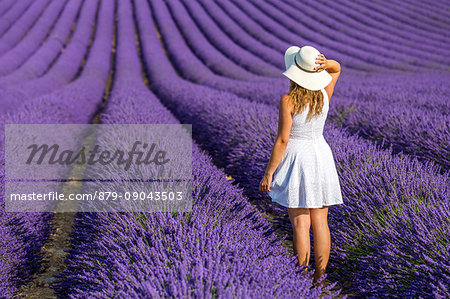 Woman in white in a lavender field. Plateau de Valensole, Alpes-de-Haute-Provence, Provence-Alpes-Côte d'Azur, France, Europe.