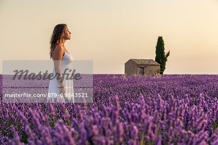 Woman at dawn in a lavender field. Plateau de Valensole, Alpes-de-Haute-Provence, Provence-Alpes-Cote d'Azur, France, Europe.