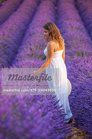 Woman in a lavender field. Plateau de Valensole, Alpes-de-Haute-Provence, Provence-Alpes-Cote d'Azur, France, Europe.