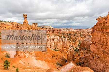 Hoodoos and Thor's Hammer from Navajo Trail Loop. Bryce Canyon National Park, Garfield County, Utah, USA.