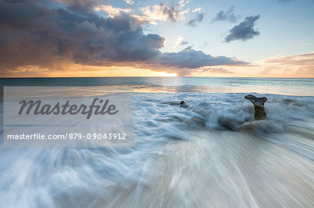 The waves and caribbean sunset frames tree trunks on Ffryers Beach Antigua and Barbuda Leeward Islands West Indies The waves and caribbean sunset frames tree trunks on Ffryers Beach Antigua and Barbuda Leeward Islands West Indies