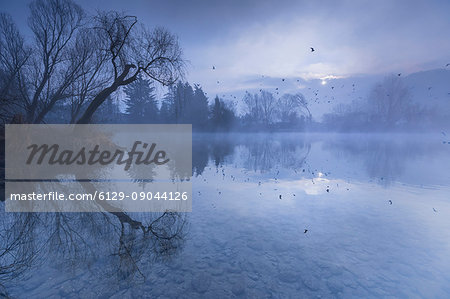 The migration of birds, river Adda, park Adda Nord, Brivio, Lecco province, Brianza, Lombardy, Italy, Europe