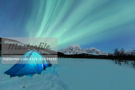 Camping with tent during a night with the Northern Lights. Svensby, Ullsfjorden, Lyngen Alps, Troms, Norway, Lapland, Europe.