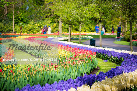 Tulips and flowers at Keukenhof gardens, Lisse, Netherlands, Europe,
