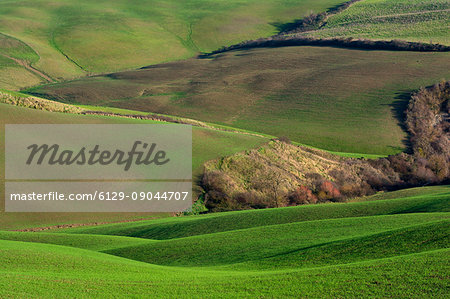 Val d'Orcia, province of Siena, Italy, Tuscany.