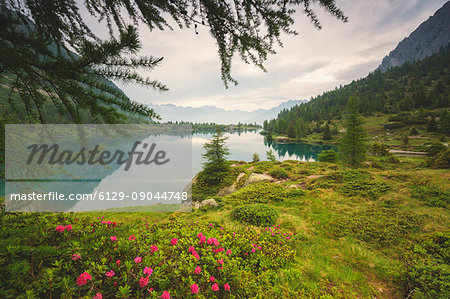 Europe, Italy, Aviolo lake in Adamello park, province of Brescia.