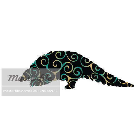 Armadillo mammal color silhouette animal. Vector Illustrator.