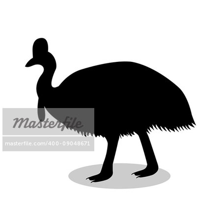 Cassowary bird black silhouette animal. Vector Illustrator.