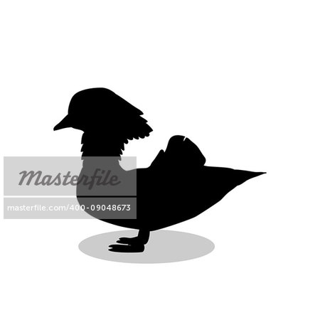 Mandarin bird Aix galericulata black silhouette animal. Vector Illustrator. Mandarin bird Aix galericulata black silhouette animal. Vector Illustrator.