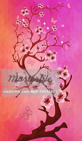 Cherry blossom background. Beautiful spring nature scene on triangle background