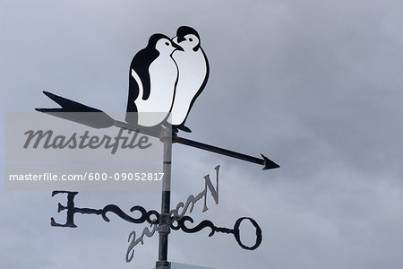 Close-up of a weather vane depicting penguins at Ushuaia in Tierra del Fuego, Argentina