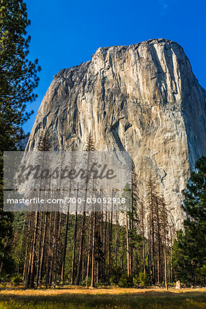 Sunlit El Capitan in the Yosemite Valley in Yosemite National Park in California, USA