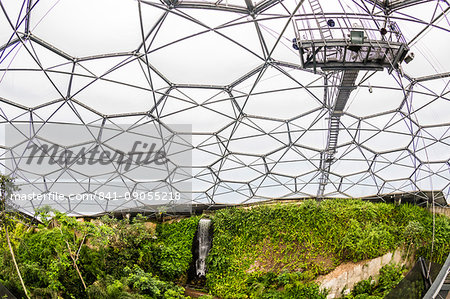 Inside the tropical biome at the popular visitor attraction, The Eden Project, St. Blazey, near St. Austell, Cornwall, England, United Kingdom, Europe