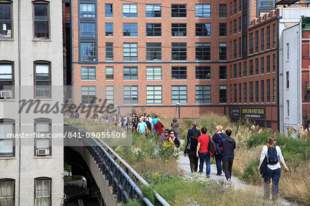 High Line Park, Manhattan, New York City, New York, United States of America, North America