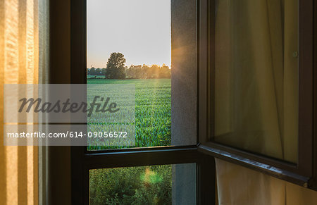 Window view of green field at sunset