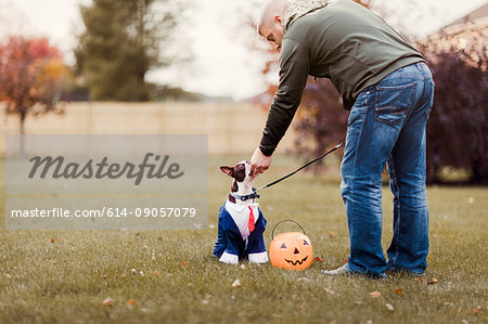 Man in park petting his boston terrier wearing business attire for halloween