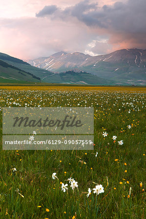 Europe,Italy, Umbria, Perugia district, Sibillini mountains, Castelluccio of Norcia village at sunset Europe,Italy, Umbria, Perugia district, Sibillini mountains, Castelluccio of Norcia village at sunset